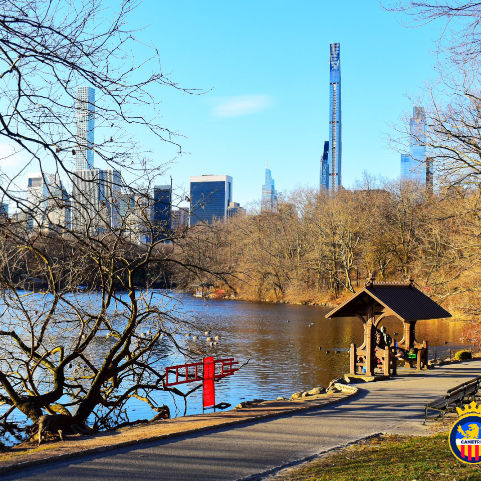 Canet Roussillon FC â€“ OM, 1/16 Coupe de France
