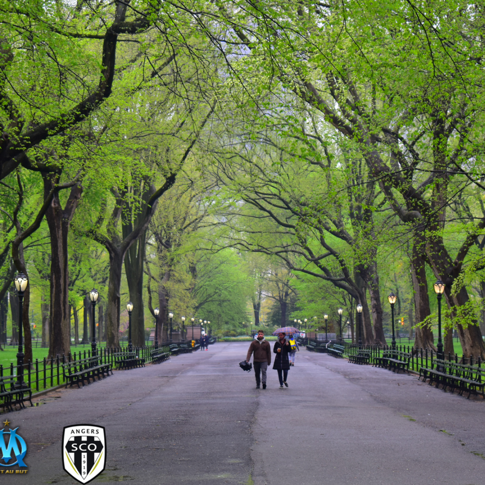 OM â€“ Angers, Championship Game N. 37