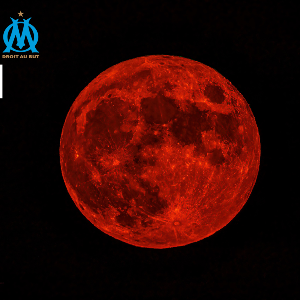 Sporting – OM, Champions League Game N. 4