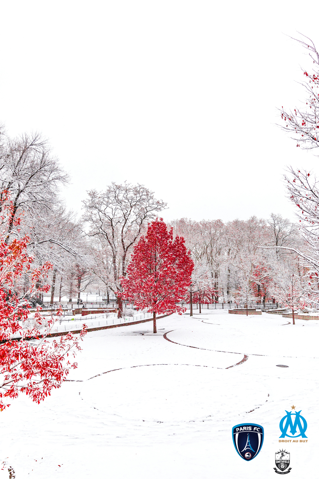 Paris FC – OM, Championship Game 20